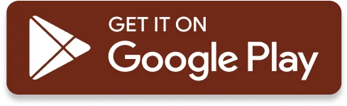 Google Play Store